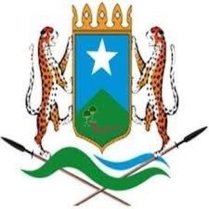 Meet your Posher, Adel